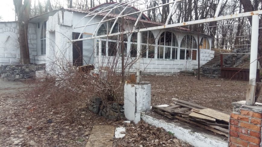 старый парк старый парк