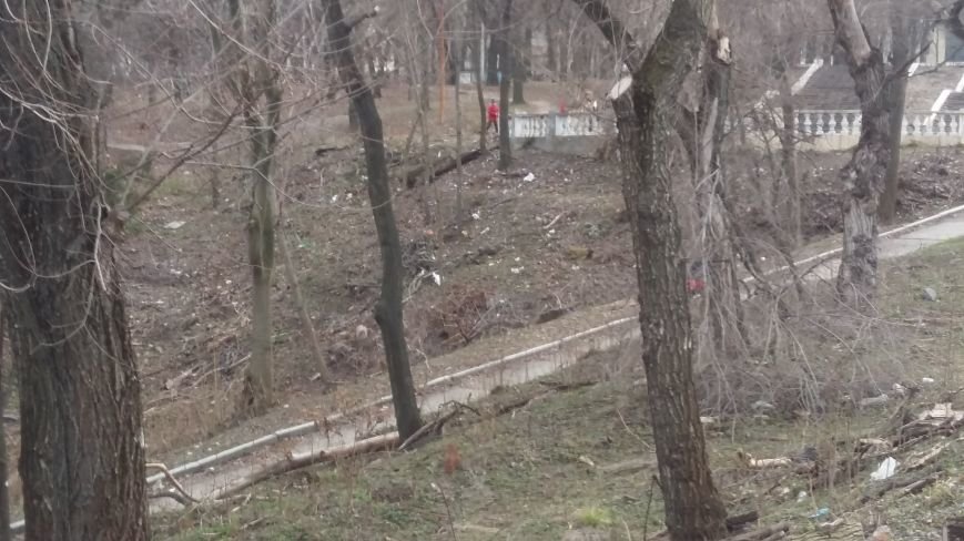 старый парк3 старый парк3