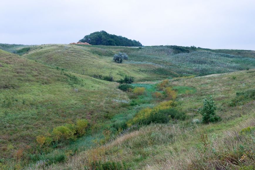балка балка