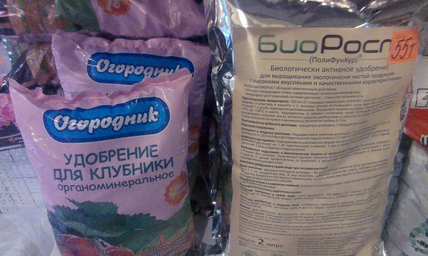 Открываем дачный сезон: сколько стоят в Витебске семена, грунт, и д... Открываем дачный сезон: сколько стоят в Витебске семена, грунт, и другие товары для садоводов-любителей (фото) - фото 3