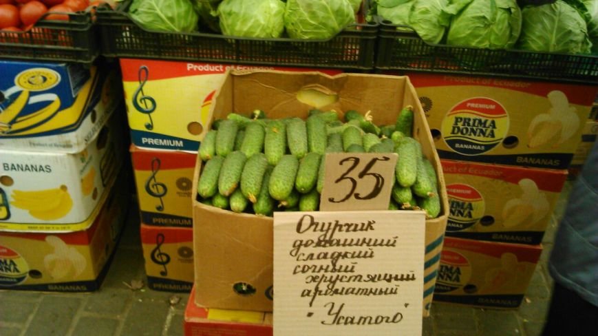 В Одессе стремительно дешевеет редиска (ФОТО) (фото) - фото 1