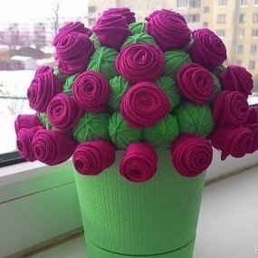 розы розы