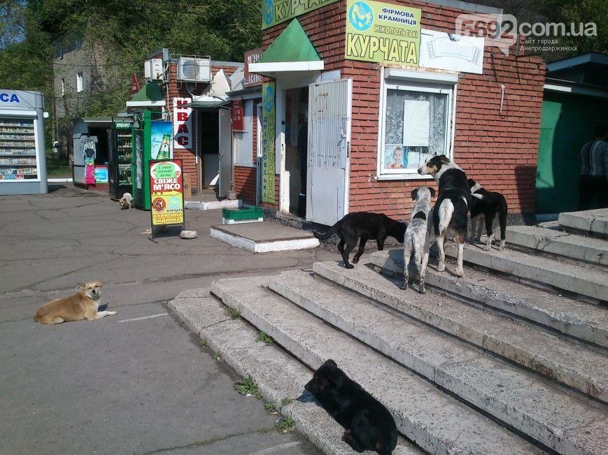 Кто решит Кто решит
