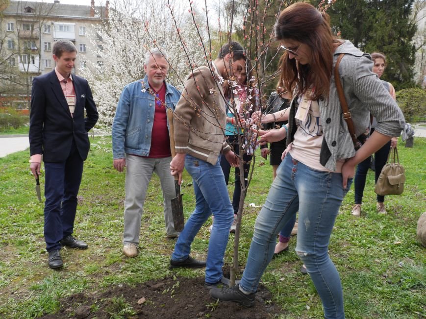 У Тернополі на «Дружбі» висадили дерева миру (Фото) (фото) - фото 1 У Тернополі на «Дружбі» висадили дерева миру (Фото) (фото) - фото 1