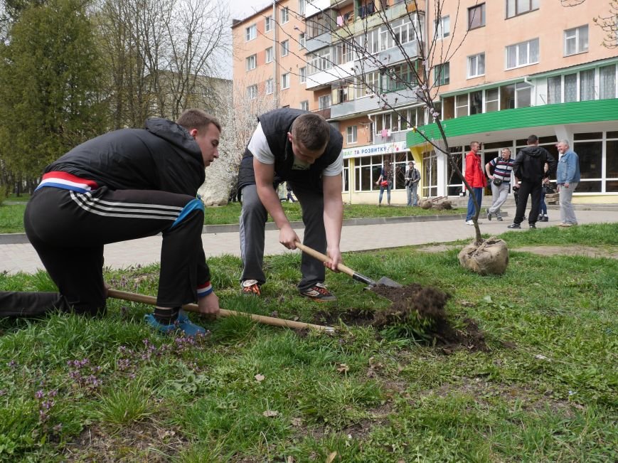 У Тернополі на «Дружбі» висадили дерева миру (Фото) (фото) - фото 2 У Тернополі на «Дружбі» висадили дерева миру (Фото) (фото) - фото 2