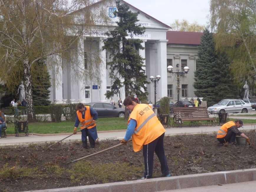 В центре Красноармейска (Покровска) работа кипит: клумбы облагораживают, розы подрезают. Дыхание весны на лицо (фото) - фото 2 В центре Красноармейска (Покровска) работа кипит: клумбы облагораживают, розы подрезают. Дыхание весны на лицо (фото) - фото 2