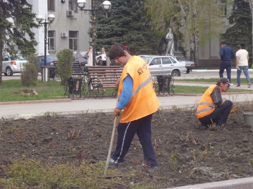 В центре Красноармейска (Покровска) работа кипит: клумбы облагораживают, розы подрезают. Дыхание весны на лицо (фото) - фото 3 В центре Красноармейска (Покровска) работа кипит: клумбы облагораживают, розы подрезают. Дыхание весны на лицо (фото) - фото 3