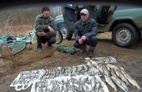 В Ушачском районе жители деревни Веркуды за незаконный улов окуней заплатят 459 милн. рублей (фото) - фото 1 В Ушачском районе жители деревни Веркуды за незаконный улов окуней заплатят 459 милн. рублей (фото) - фото 1
