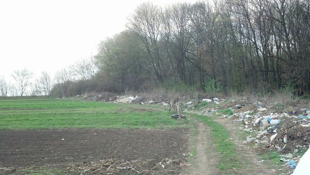 Неподалік Тернополя влаштували стихійне сміттєзвалище (Фото) (фото) - фото 1 Неподалік Тернополя влаштували стихійне сміттєзвалище (Фото) (фото) - фото 1