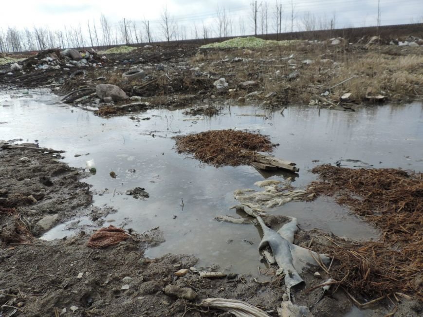 В Пушкинском районе создадут карту несанкционированных свалок (фото) - фото 1 В Пушкинском районе создадут карту несанкционированных свалок (фото) - фото 1