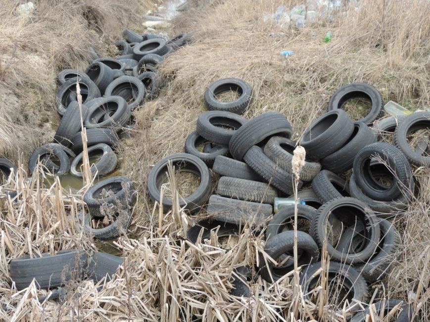 В Пушкинском районе создадут карту несанкционированных свалок (фото) - фото 1 В Пушкинском районе создадут карту несанкционированных свалок (фото) - фото 1