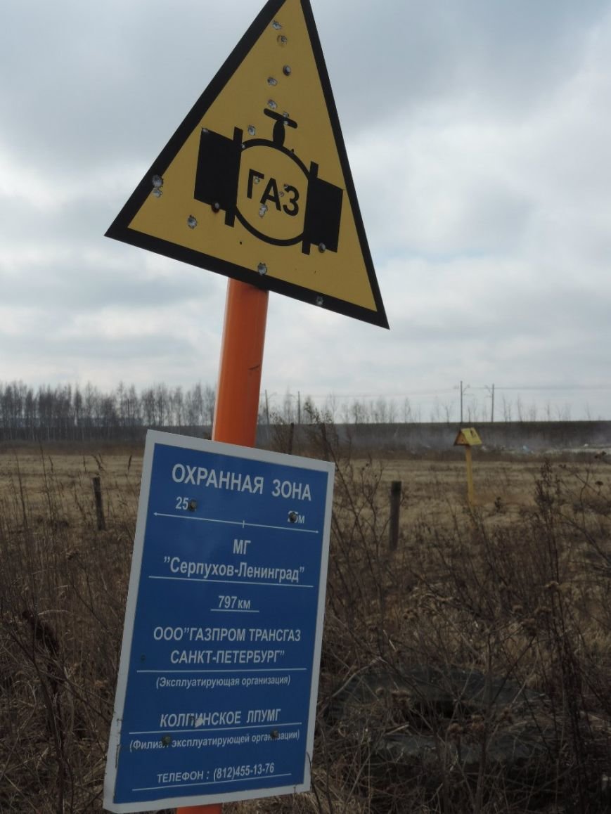 В Пушкинском районе создадут карту несанкционированных свалок (фото) - фото 1 В Пушкинском районе создадут карту несанкционированных свалок (фото) - фото 1