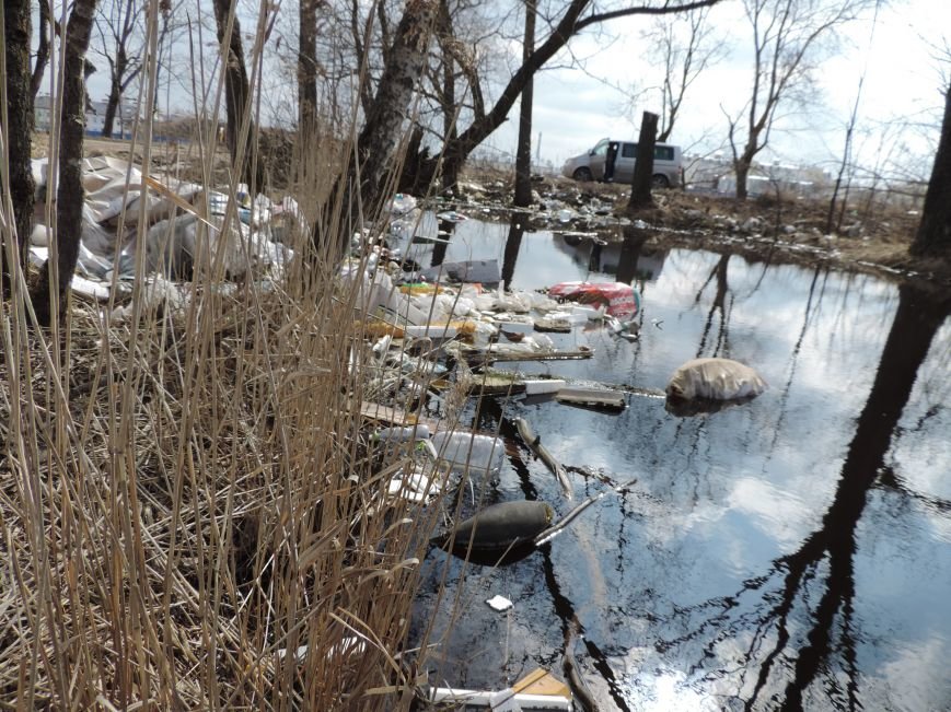 В Пушкинском районе создадут карту несанкционированных свалок (фото) - фото 1 В Пушкинском районе создадут карту несанкционированных свалок (фото) - фото 1