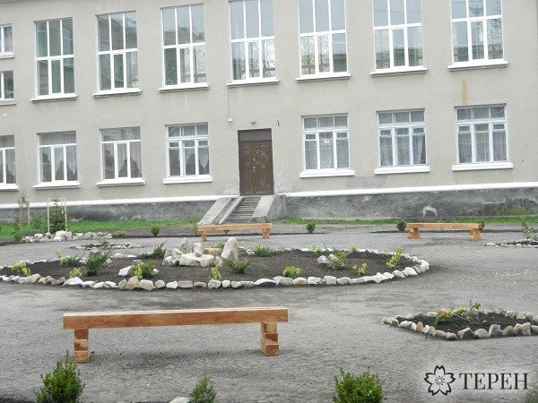 Міні-сквер із рослинами з Червоної книги відкрили у Тернополі (фото) (фото) - фото 1 Міні-сквер із рослинами з Червоної книги відкрили у Тернополі (фото) (фото) - фото 1