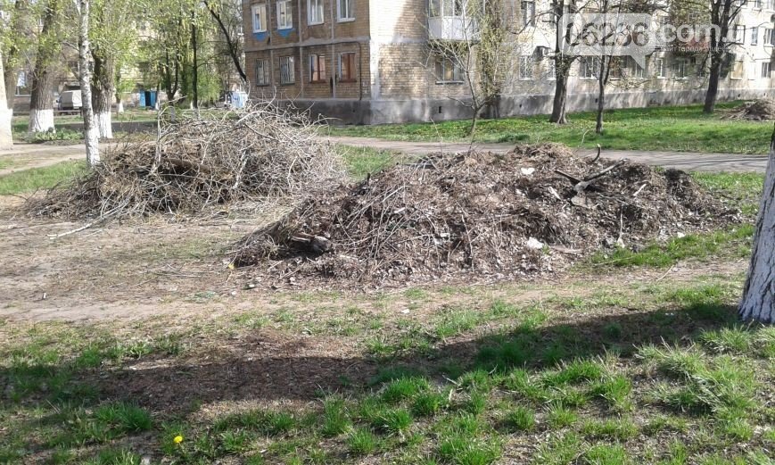 Авдеевка готовится ко Дню окружающей среды (ФОТО) (фото) - фото 1 Авдеевка готовится ко Дню окружающей среды (ФОТО) (фото) - фото 1