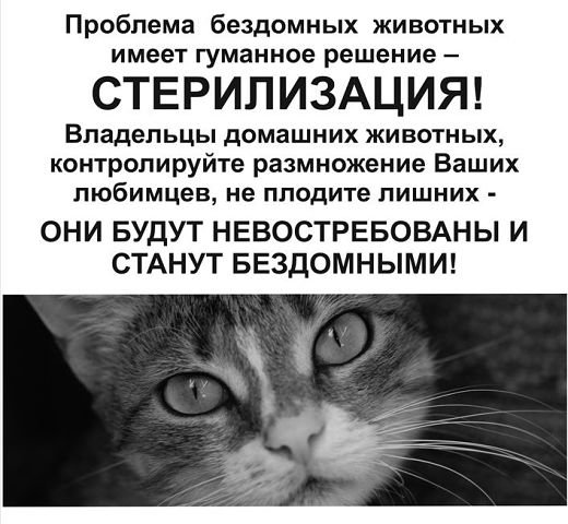 Нелегкий шлях конотопських Нелегкий шлях конотопських