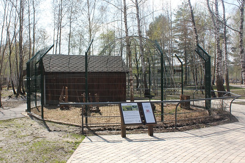 Новый белгородский зоопарк откроется 1 июня, фото-1 Новый белгородский зоопарк откроется 1 июня, фото-1