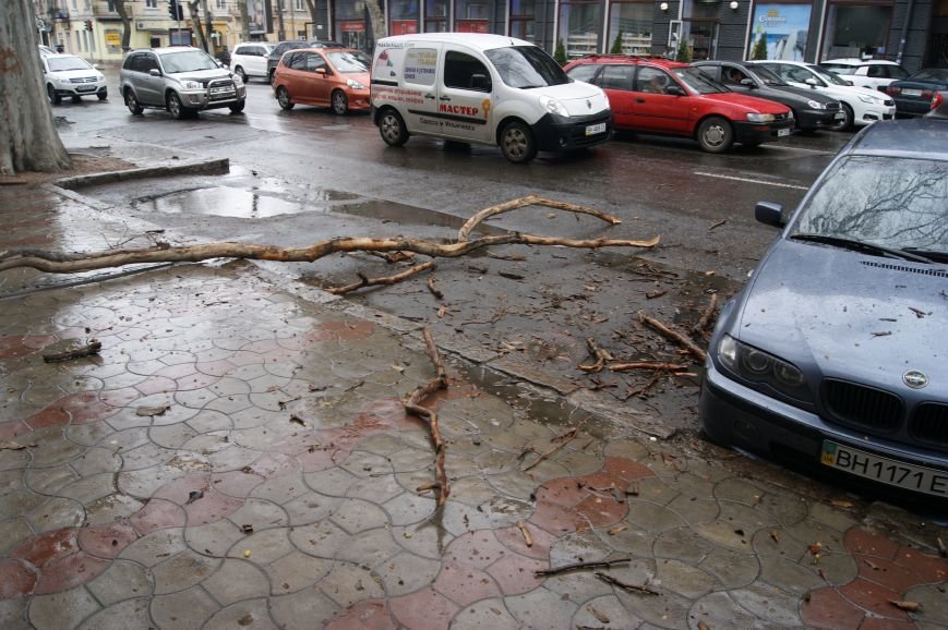 В центре Одессы огромная ветка рухнула на автомобильную парковку (ФОТО) (фото) - фото 1