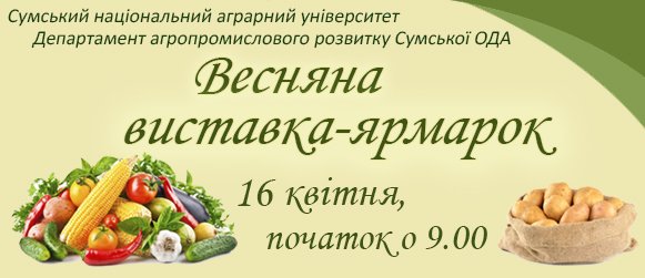 баннер 3 баннер 3