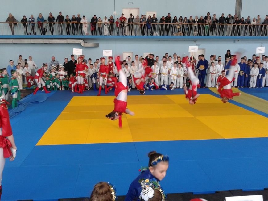 В Херсоне состоялся Чемпионат Украины по дзюдо на кубок мэра Херсона (фото) (фото) - фото 3 В Херсоне состоялся Чемпионат Украины по дзюдо на кубок мэра Херсона (фото) (фото) - фото 3