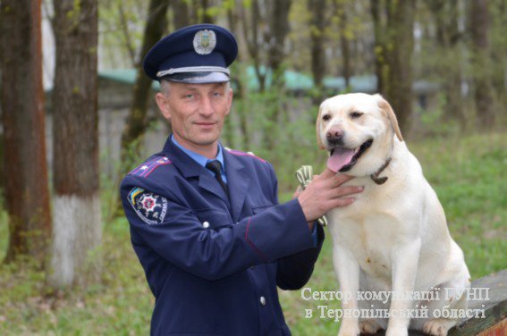 Тернопільський пес брав участь у розкритті резонансного вбивства в зоні АТО (фото) - фото 1 Тернопільський пес брав участь у розкритті резонансного вбивства в зоні АТО (фото) - фото 1