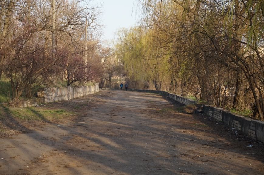 Спасут ли криворожане сквер или он превратится в мусорную свалку? (ФОТО) (фото) - фото 3 Спасут ли криворожане сквер или он превратится в мусорную свалку? (ФОТО) (фото) - фото 3
