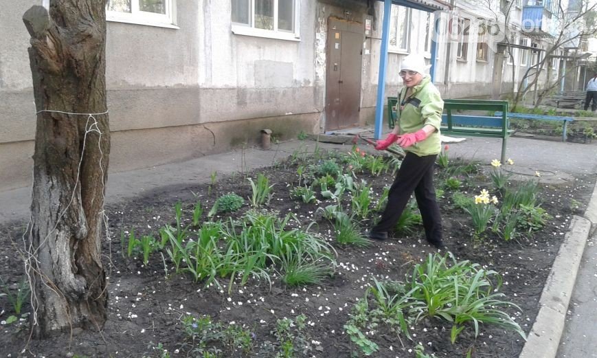 В Авдеевке прошел общегородской субботник (ФОТО) (фото) - фото 1 В Авдеевке прошел общегородской субботник (ФОТО) (фото) - фото 1
