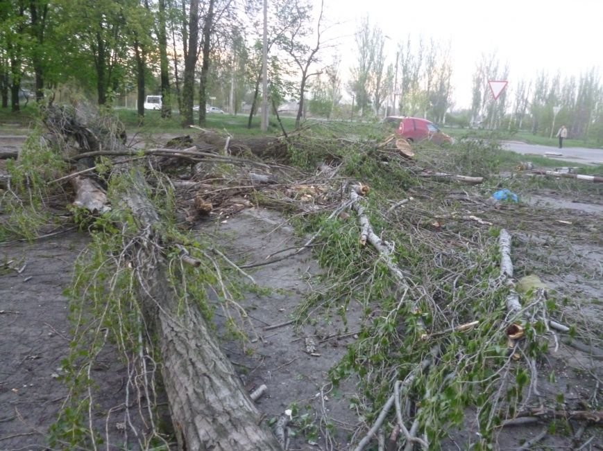 Опиловка в Красноармейске (Покровске): все завалено ветвями, ни проехать, ни пройти (фото) - фото 10 Опиловка в Красноармейске (Покровске): все завалено ветвями, ни проехать, ни пройти (фото) - фото 10