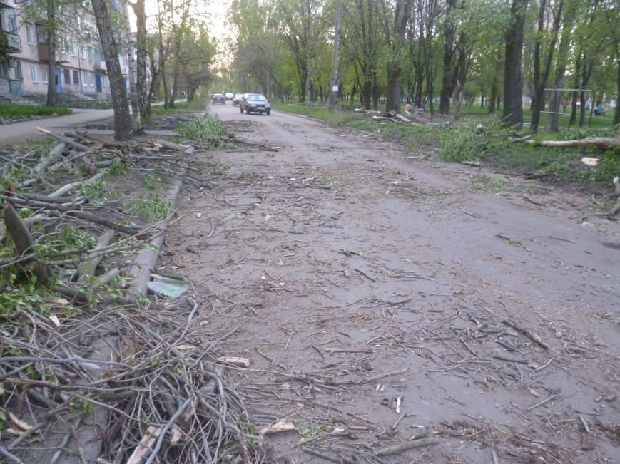 Опиловка в Красноармейске (Покровске): все завалено ветвями, ни проехать, ни пройти (фото) - фото 3 Опиловка в Красноармейске (Покровске): все завалено ветвями, ни проехать, ни пройти (фото) - фото 3