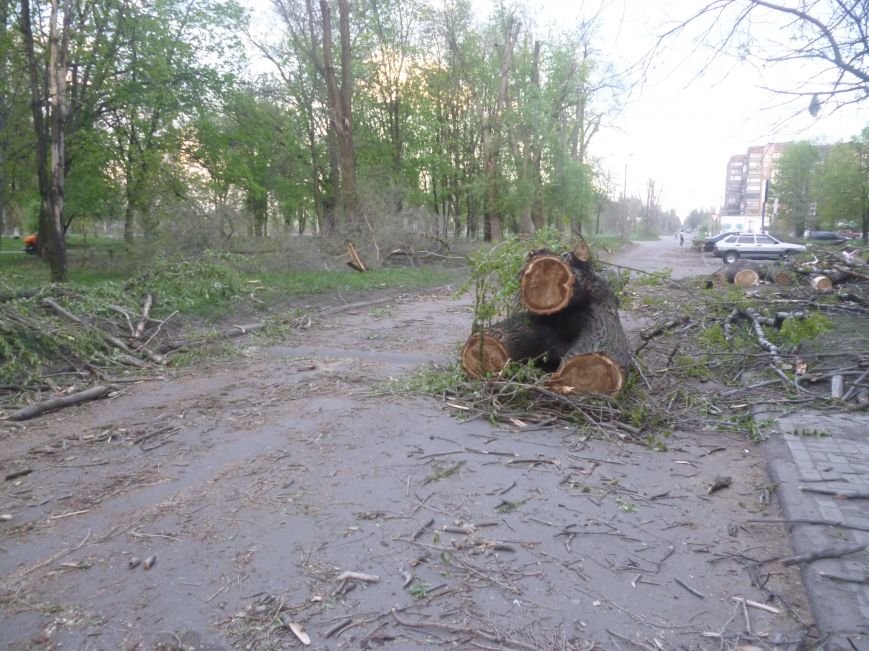 Опиловка в Красноармейске (Покровске): все завалено ветвями, ни проехать, ни пройти (фото) - фото 1 Опиловка в Красноармейске (Покровске): все завалено ветвями, ни проехать, ни пройти (фото) - фото 1