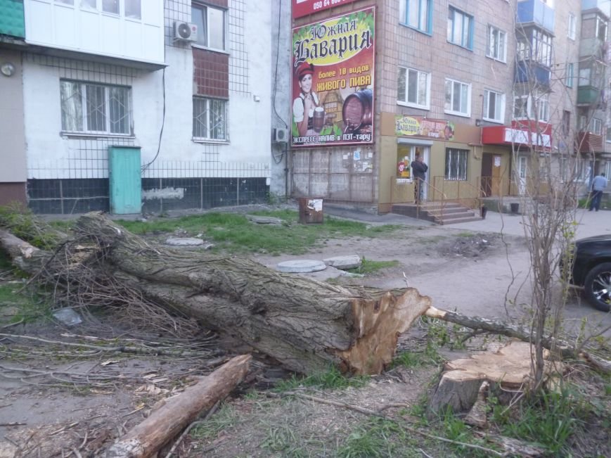Опиловка в Красноармейске (Покровске): все завалено ветвями, ни проехать, ни пройти (фото) - фото 5 Опиловка в Красноармейске (Покровске): все завалено ветвями, ни проехать, ни пройти (фото) - фото 5