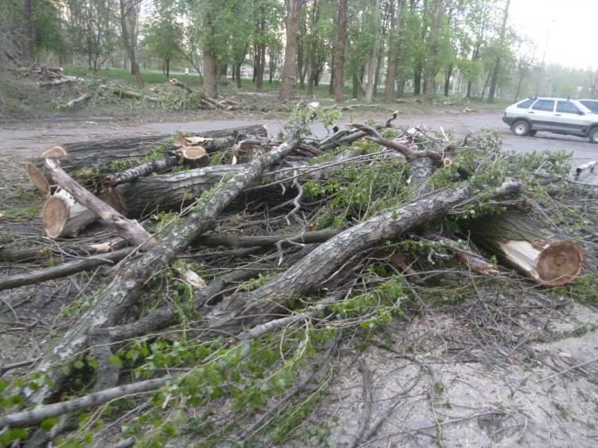 Опиловка в Красноармейске (Покровске): все завалено ветвями, ни проехать, ни пройти (фото) - фото 6 Опиловка в Красноармейске (Покровске): все завалено ветвями, ни проехать, ни пройти (фото) - фото 6