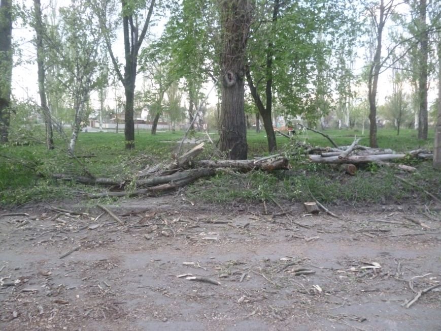 Опиловка в Красноармейске (Покровске): все завалено ветвями, ни проехать, ни пройти (фото) - фото 10 Опиловка в Красноармейске (Покровске): все завалено ветвями, ни проехать, ни пройти (фото) - фото 10
