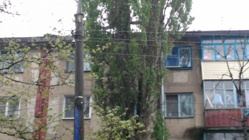 Опасное соседство херсонцев по улице Мира (фото) - фото 2 Опасное соседство херсонцев по улице Мира (фото) - фото 2
