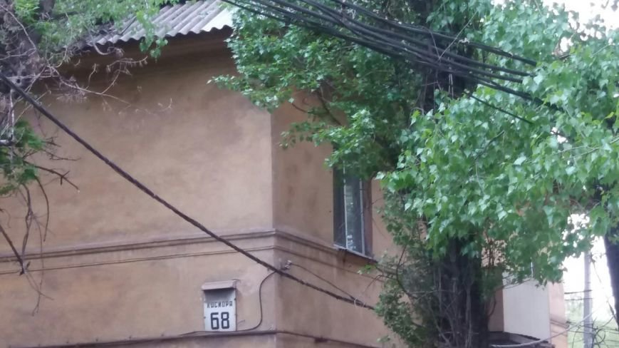 В Кривом Роге на крышу жилого дома рухнуло дерево (ФОТО) (фото) - фото 1 В Кривом Роге на крышу жилого дома рухнуло дерево (ФОТО) (фото) - фото 1