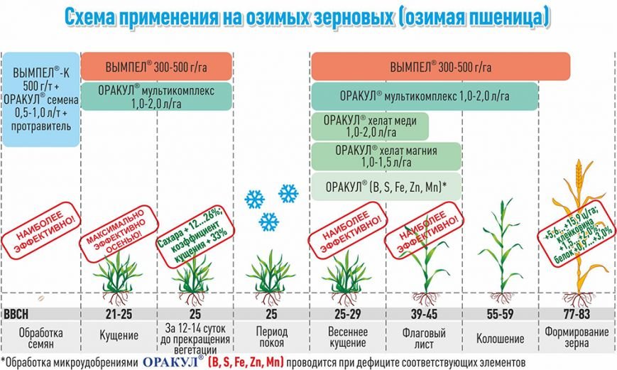 Стимуляторы и удобрения - только качественные и проверенные (фото) - фото 3 Стимуляторы и удобрения - только качественные и проверенные (фото) - фото 3