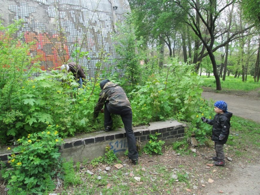 Одесские журналисты сделали город немного чище (фото) - фото 1