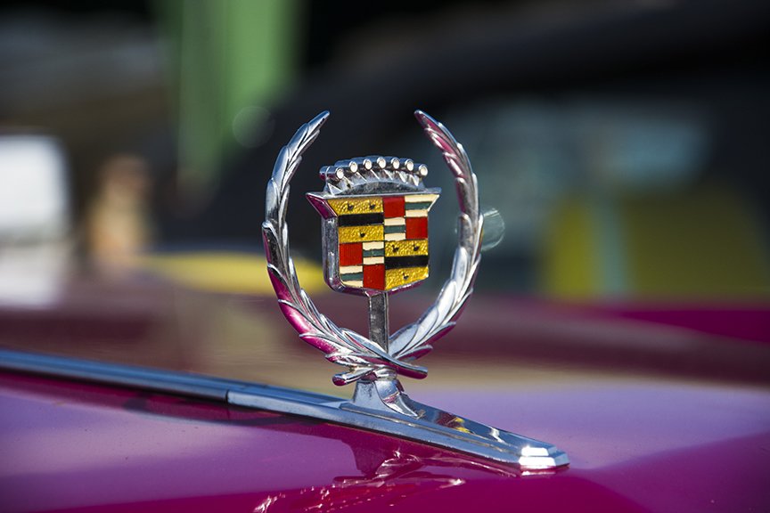 В Киеве состоялся фестиваль ретро-автомобилей “OldCarLand” (фото) - фото 1 В Киеве состоялся фестиваль ретро-автомобилей “OldCarLand” (фото) - фото 1