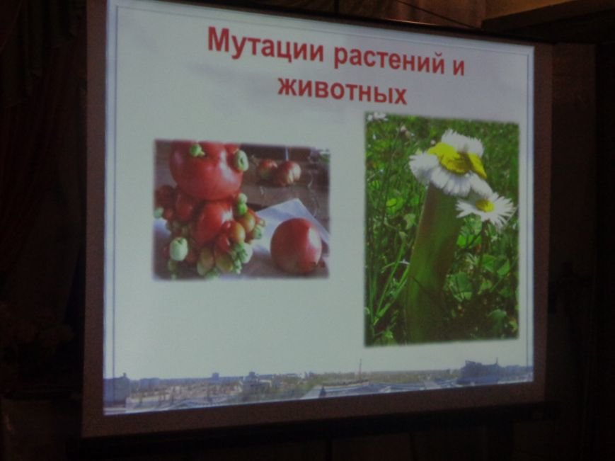Красноармейский (Покровский) городской исторический музей провёл Урок памяти, приуроченный к 30-й годовщине Чернобыльской катастрофы (фото) - фото 9 Красноармейский (Покровский) городской исторический музей провёл Урок памяти, приуроченный к 30-й годовщине Чернобыльской катастрофы (фото) - фото 9