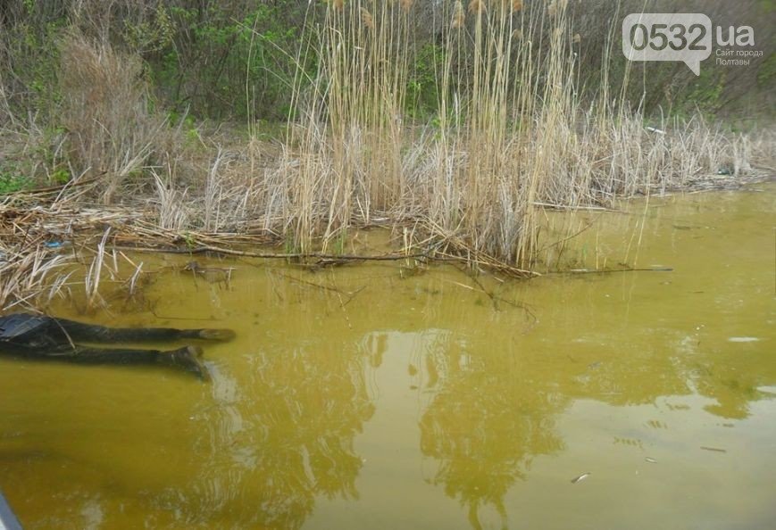 На Днепродзержинском водохранилище рыбаки выловили тело женщины (фото) - фото 1 На Днепродзержинском водохранилище рыбаки выловили тело женщины (фото) - фото 1