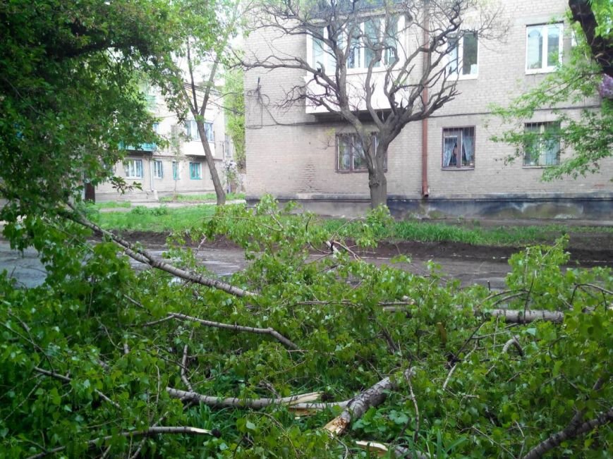 Криворожане радуются ремонту дорог и мечтают о новых технологиях (ФОТО) (фото) - фото 1 Криворожане радуются ремонту дорог и мечтают о новых технологиях (ФОТО) (фото) - фото 1