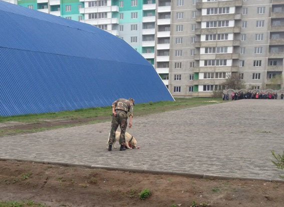 У Полтавській школі шукали вибухівку (фото) - фото 4 У Полтавській школі шукали вибухівку (фото) - фото 4