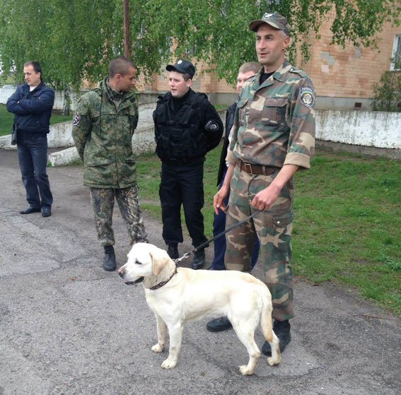 У Полтавській школі шукали вибухівку (фото) - фото 5 У Полтавській школі шукали вибухівку (фото) - фото 5