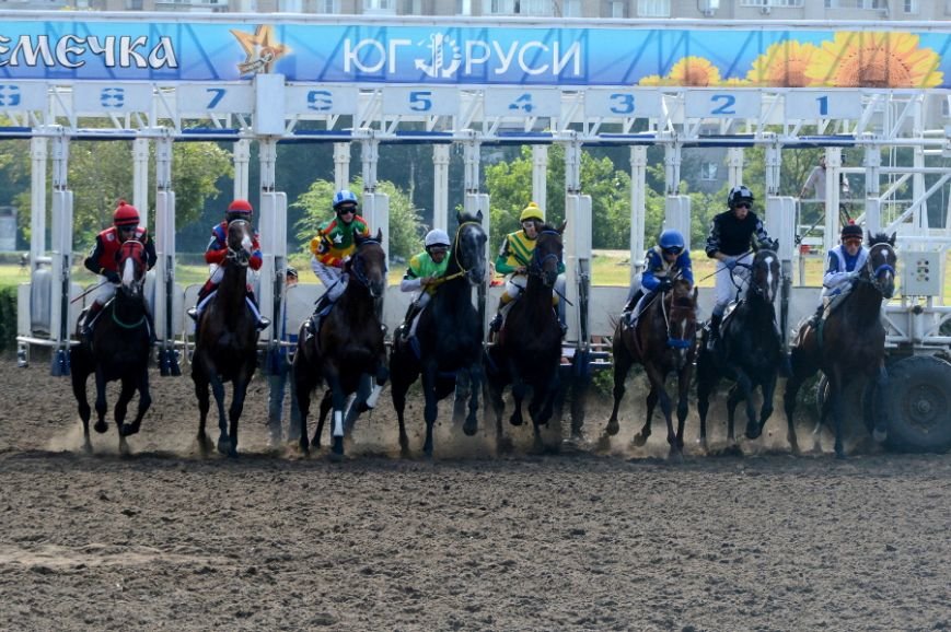 кони1 кони1