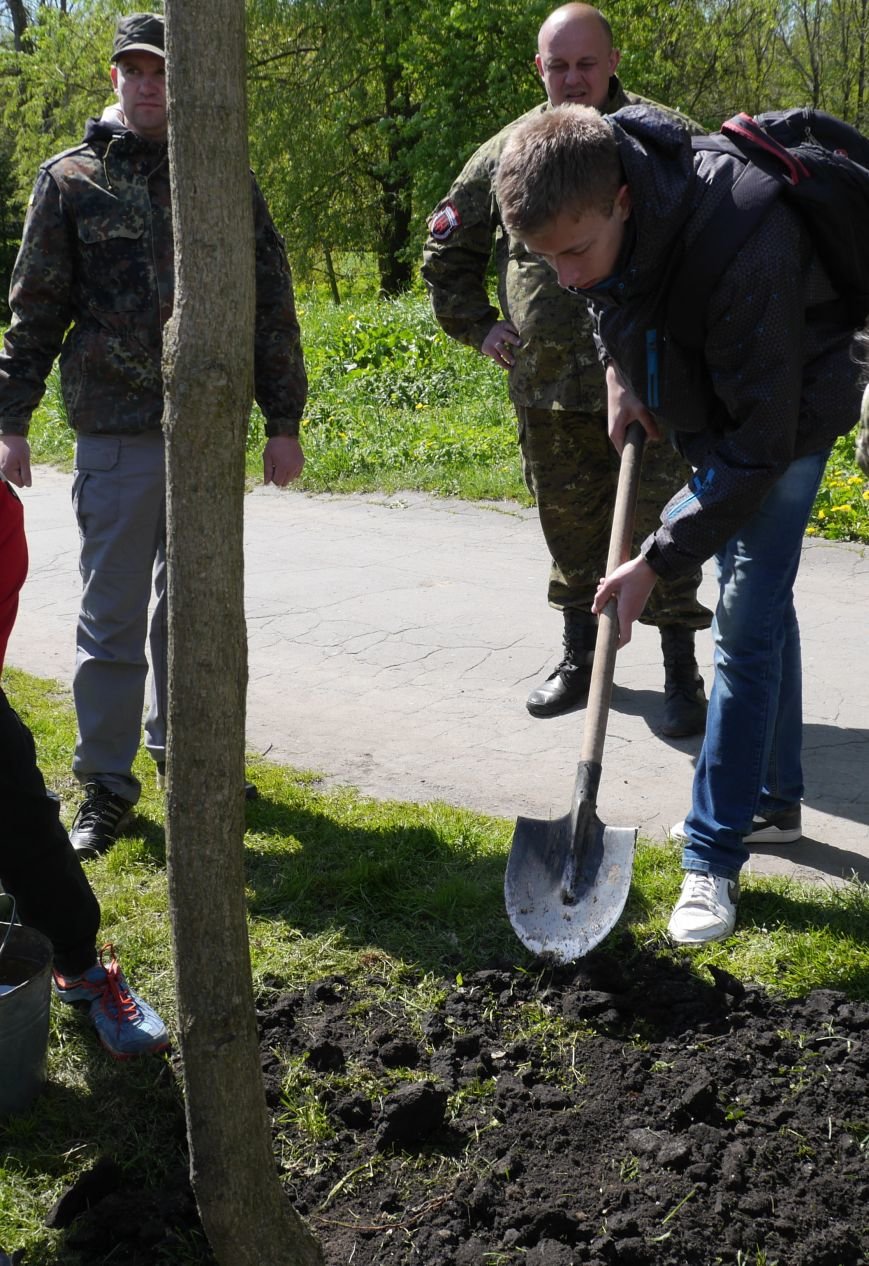 У парку Топільче буде алея на честь загиблих в АТО Героїв Тернопільщини (Фоторепортаж) (фото) - фото 1 У парку Топільче буде алея на честь загиблих в АТО Героїв Тернопільщини (Фоторепортаж) (фото) - фото 1