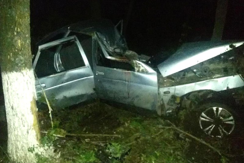 В Белгородской области при столкновении с деревом погиб водитель ВАЗа
