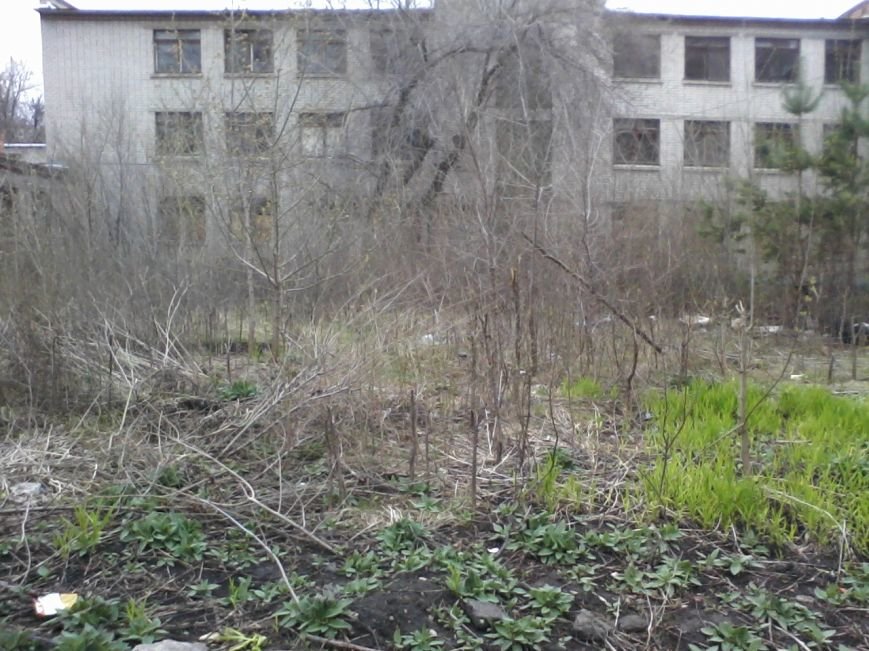 здесь были клумбы здесь были клумбы