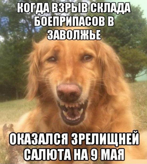 Безымянный1 Безымянный1