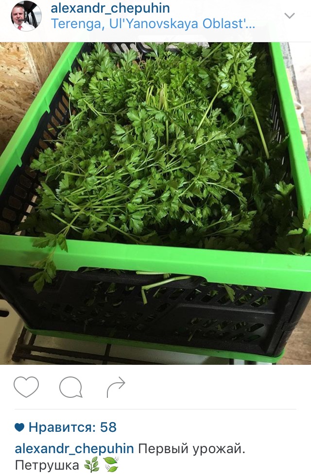 image-15-05-16-23-42