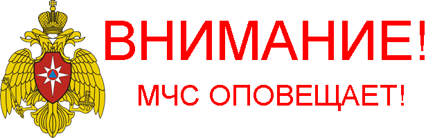 мчс1 мчс1